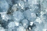 Sparkling Celestine (Celestite) Crystal Cluster - Madagascar #364656-1
